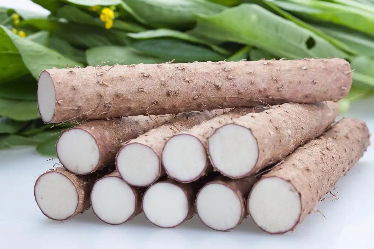 Diosgenin Powder Wholesale from China to European Industrial Parks